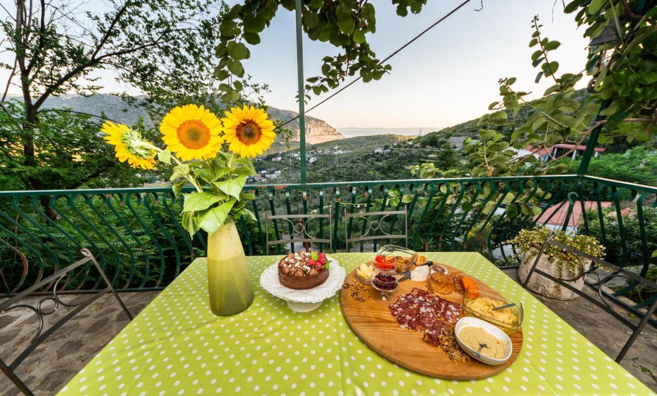 Villa Blanka Žrnovnica Buitenkant foto